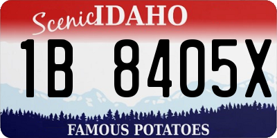 ID license plate 1B8405X