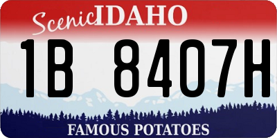 ID license plate 1B8407H