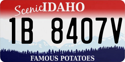 ID license plate 1B8407V
