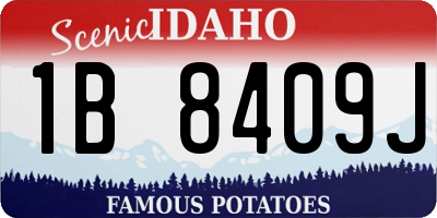 ID license plate 1B8409J