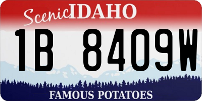 ID license plate 1B8409W