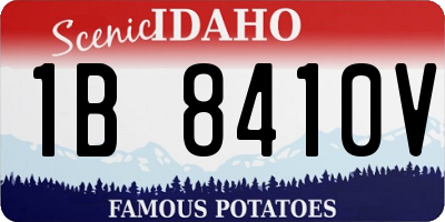 ID license plate 1B8410V