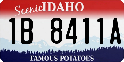 ID license plate 1B8411A