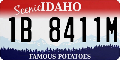 ID license plate 1B8411M