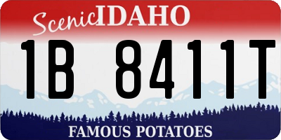 ID license plate 1B8411T