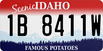 ID license plate 1B8411W