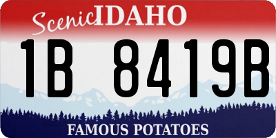 ID license plate 1B8419B