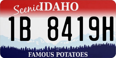 ID license plate 1B8419H