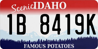 ID license plate 1B8419K