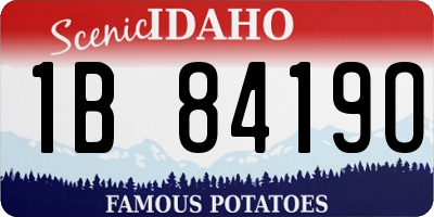 ID license plate 1B8419O