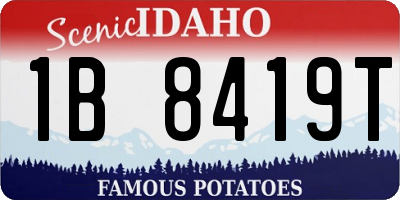 ID license plate 1B8419T