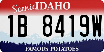 ID license plate 1B8419W