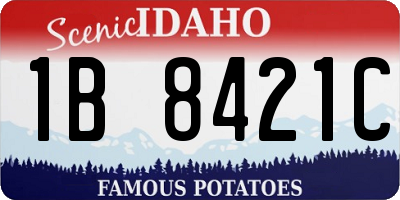 ID license plate 1B8421C