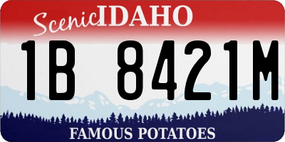 ID license plate 1B8421M