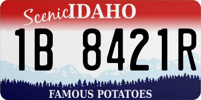 ID license plate 1B8421R