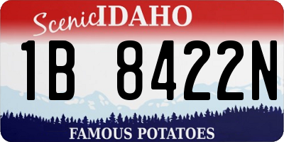 ID license plate 1B8422N