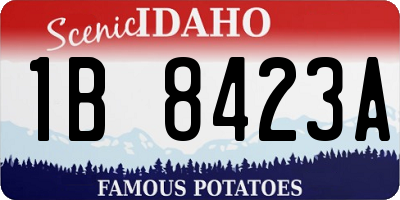 ID license plate 1B8423A