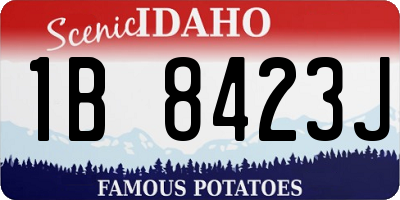ID license plate 1B8423J