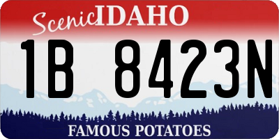ID license plate 1B8423N