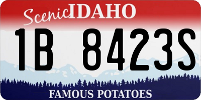 ID license plate 1B8423S