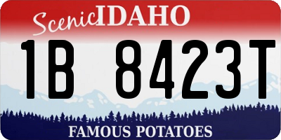 ID license plate 1B8423T