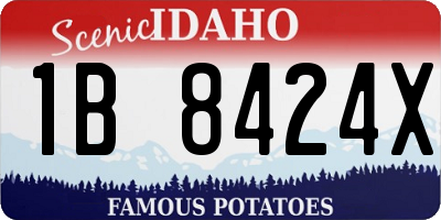 ID license plate 1B8424X