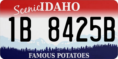 ID license plate 1B8425B
