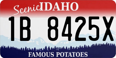 ID license plate 1B8425X