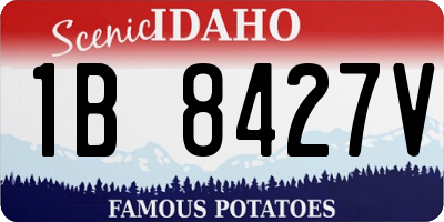 ID license plate 1B8427V