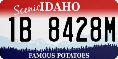 ID license plate 1B8428M