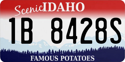ID license plate 1B8428S