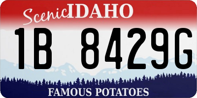 ID license plate 1B8429G