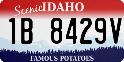 ID license plate 1B8429V