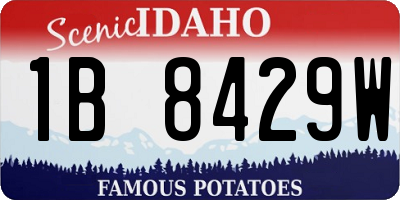 ID license plate 1B8429W