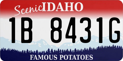 ID license plate 1B8431G