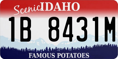 ID license plate 1B8431M