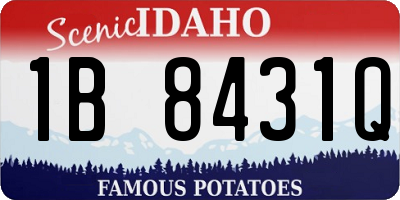 ID license plate 1B8431Q