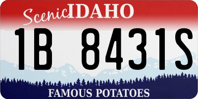 ID license plate 1B8431S