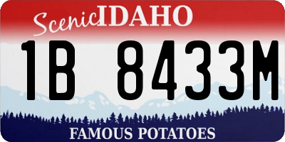 ID license plate 1B8433M