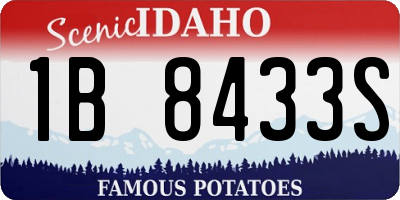 ID license plate 1B8433S