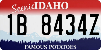 ID license plate 1B8434Z