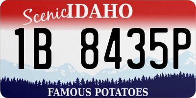 ID license plate 1B8435P