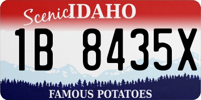ID license plate 1B8435X
