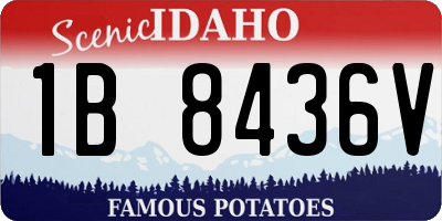 ID license plate 1B8436V