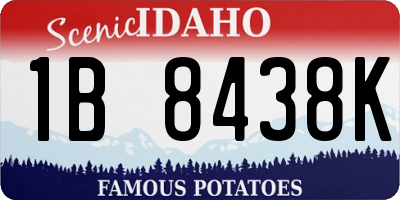 ID license plate 1B8438K