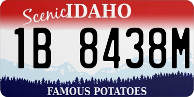 ID license plate 1B8438M