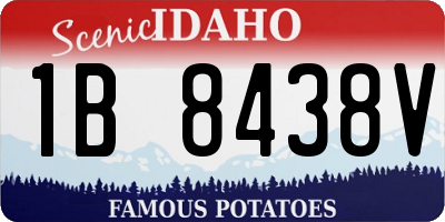 ID license plate 1B8438V