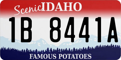ID license plate 1B8441A