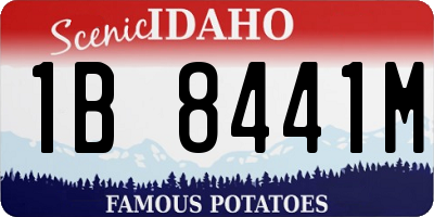 ID license plate 1B8441M
