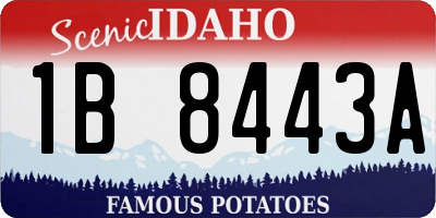 ID license plate 1B8443A